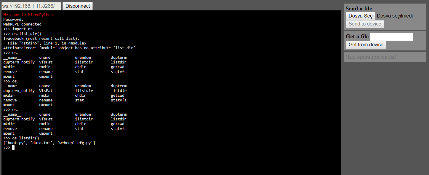 Web Repl