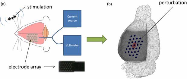 Electrical impedance tomography using intracranial planar arrays