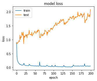 Baseline loss during training
